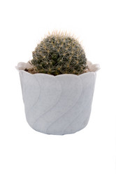 Similar image 1158811