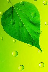 Similar image 1158820