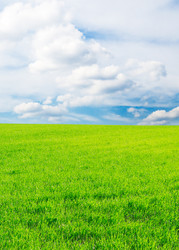 Similar image 1158822