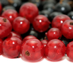 Similar image 1158830