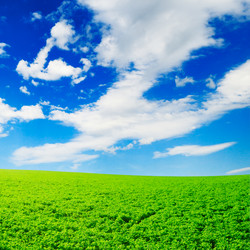 Similar image 1158837