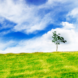 Similar image 1158839