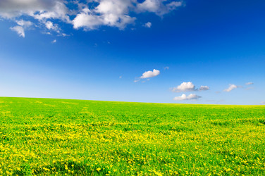 Similar image 1158846