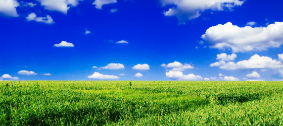 Similar image 1158855