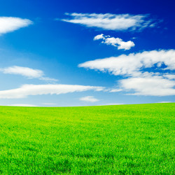 Similar image 1158857