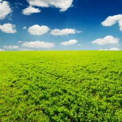 Similar image 1158858