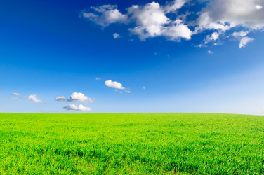 Similar image 1158874