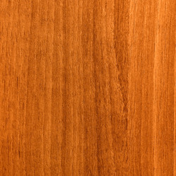 Similar image 1158877