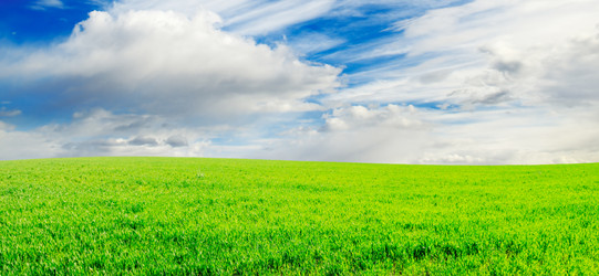 Similar image 1158879