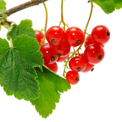 Similar image 1158882