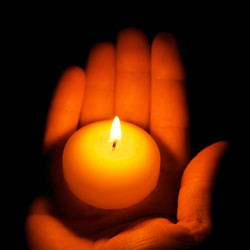 Similar image 1158884