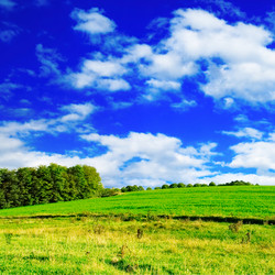 Similar image 1158886