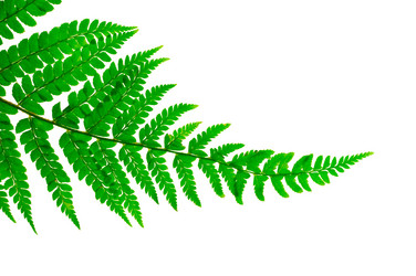 Similar image 1158922