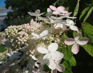 Similar image 1159200