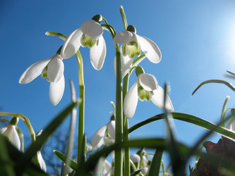 Similar image 1159201