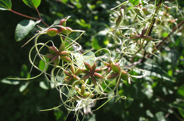 Similar image 1159203