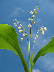 Similar image 1159209