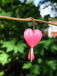 Similar image 1159211