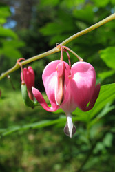 Similar image 1159212