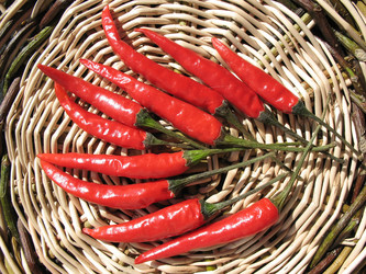 Similar image 1159218