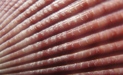 Similar image 1159277