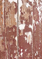 Similar image 1159281