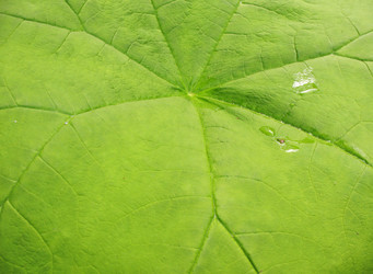 Similar image 1159290