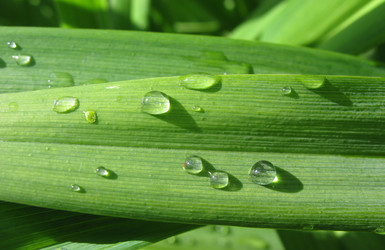 Similar image 1159292