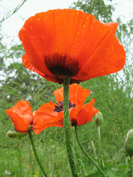 Similar image 1159305