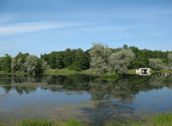 Similar image 1159306