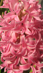 Similar image 1159311