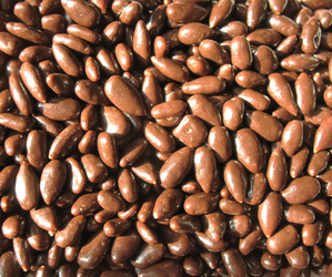 Similar image 1159312