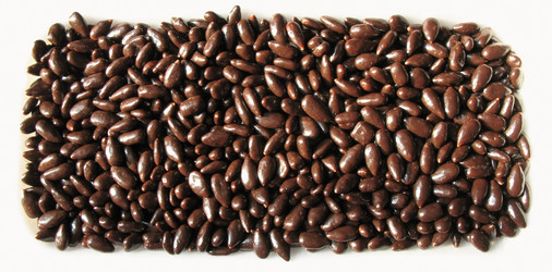 Similar image 1159313