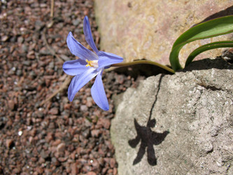 Similar image 1159391