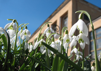 Similar image 1159393