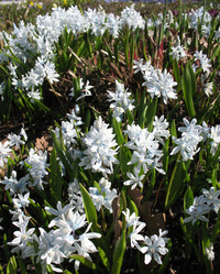 Similar image 1159394