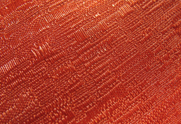 Similar image 1159401