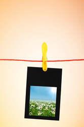 Similar image 1159417