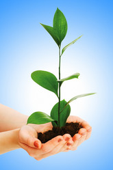 Similar image 1159436