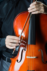 Similar image 1159458