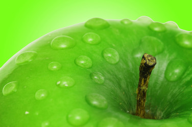 Similar image 1159569