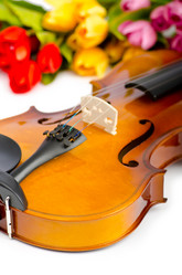 Similar image 1159579