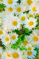 Similar image 1159671