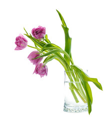 Similar image 1159791