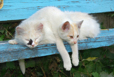 Similar image 1159861