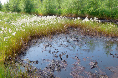 Similar image 1159864