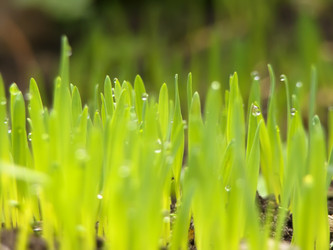 Similar image 1159903