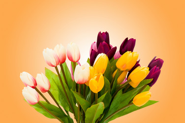 Similar image 1159949