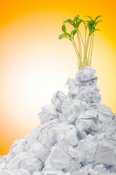 Similar image 1160012