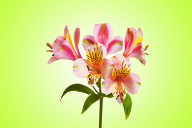 Similar image 1160022